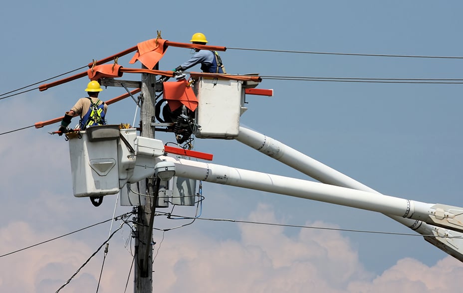 Workmen fixing wooden poles. 