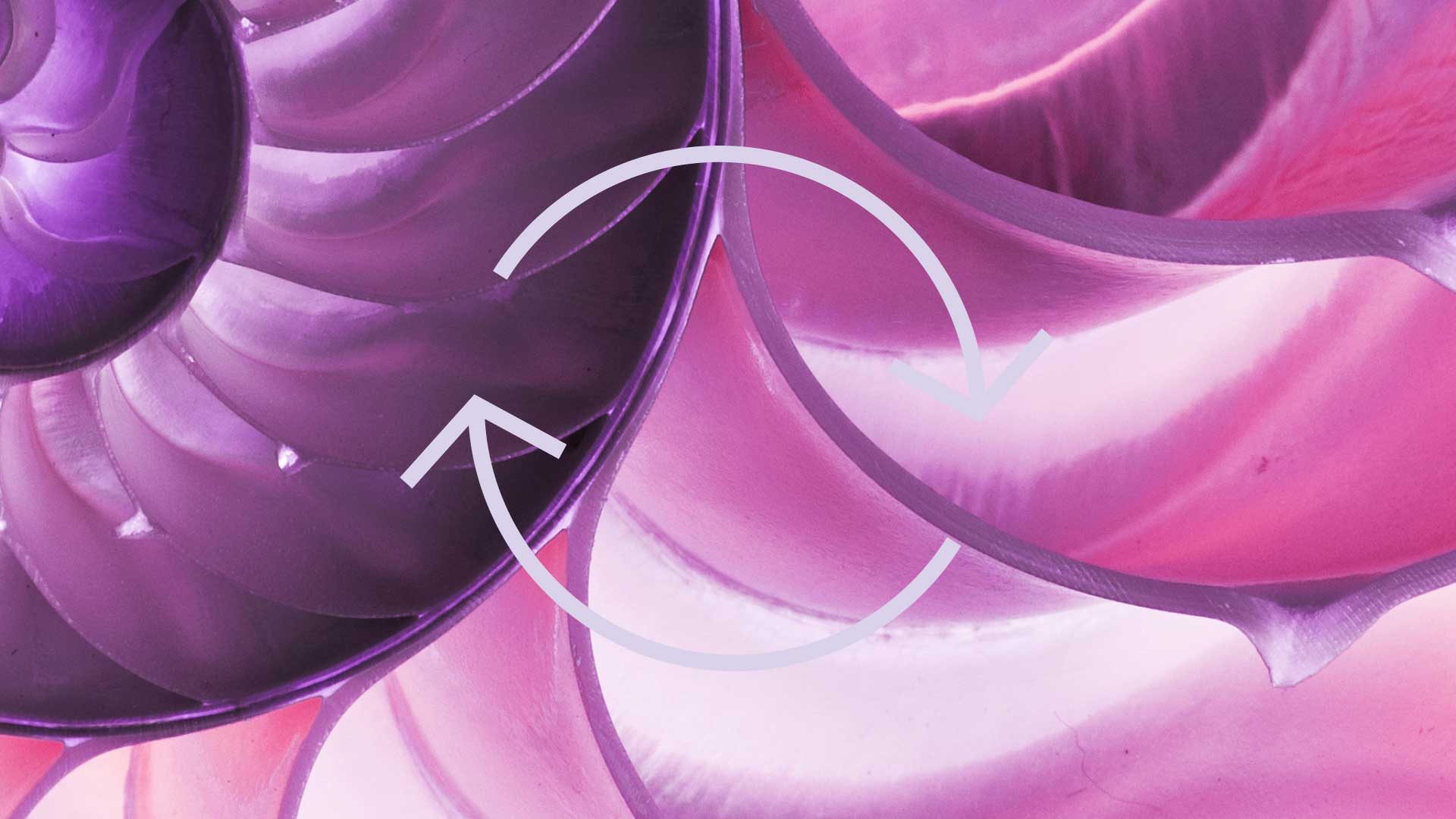 Pink abstract swirls